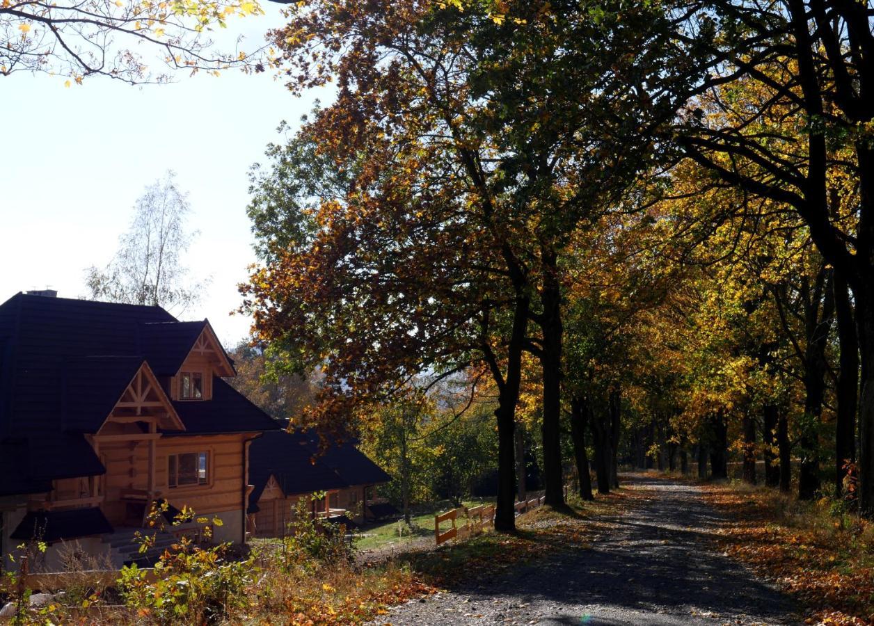 Osada Sudecka Villa Ladek-Zdroj Exterior photo